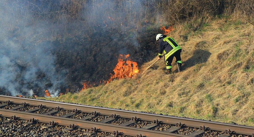 Feuer am Bahndamm bei Wollersleben  (Foto: S. Dietzel)