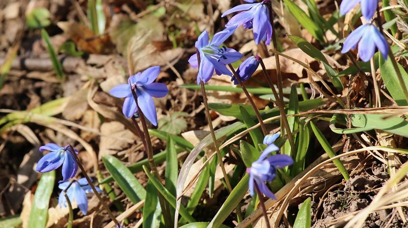 Wetterbild (Foto: agl)