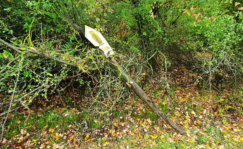 Dieses Naturschutzgebietsschild, aufgenommen im Herbst 2020 im NSG R&uuml;digsdorfer Schweiz, ist, wie viele andere auch, nicht, wie im Beitrag des Landkreises Nordhausen vom 14.03. u.a. beklagt, Vandalismus zum Opfer gefallen, sondern einer Nichtumsetzung geltenden Naturschutzrechts durch verantwortliche Institutionen.  (Foto: B.Schwarzberg)