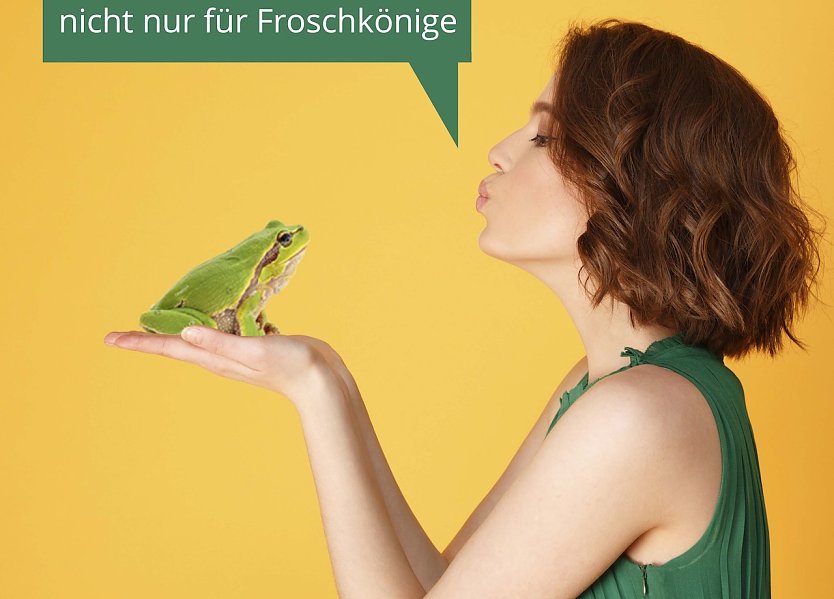 Layout Brunnenfest (Foto: Stadtverwaltung Nordhausen)