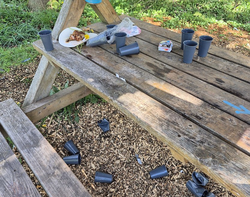 Partyreste im Park Hohenrode (Foto: A.Adlerauge) Partyreste im Park Hohenrode (Foto: A.Adlerauge)