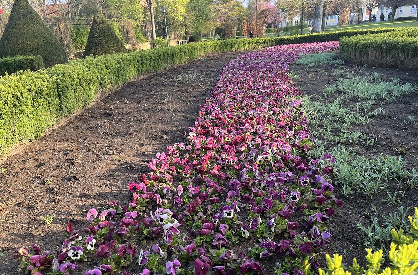 Fr&uuml;hlingshafte Temperaturen bei wechselhaftem Wetter (Foto: oas)