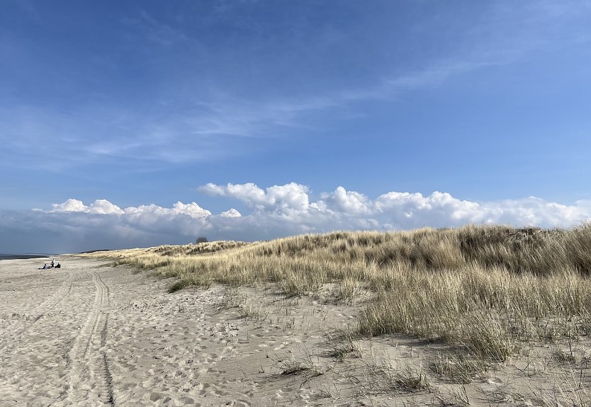 Ostseestrand (Foto: oas)