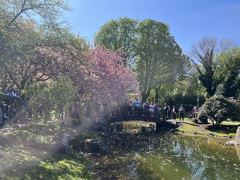 Warmes und trockenes Hochdruckwetter bleibt erhalten (Foto: oas)