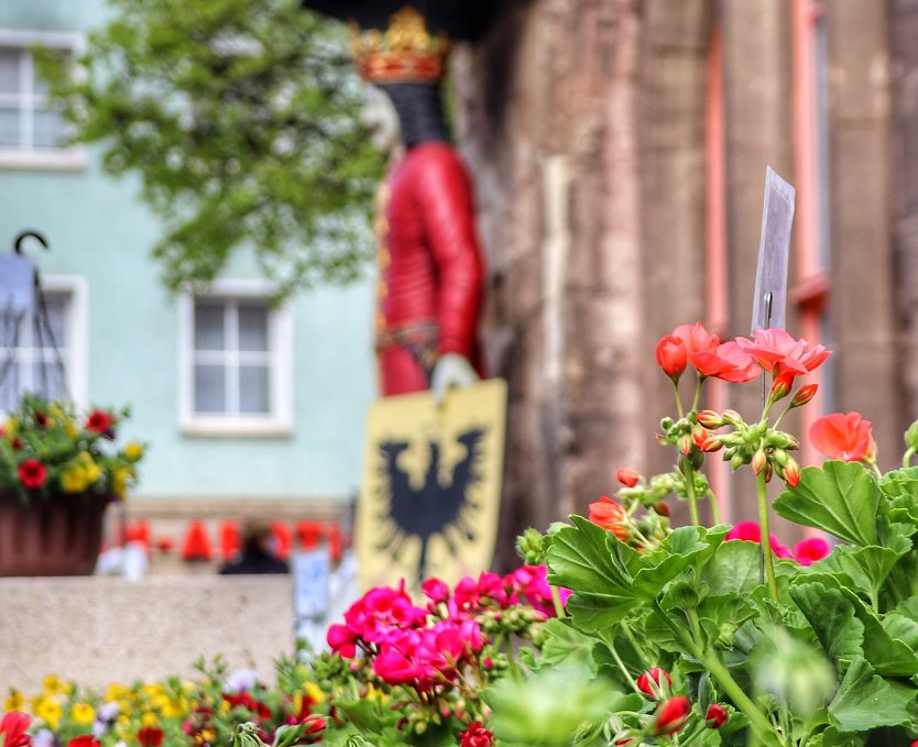 Geranienmarkt in Nordhausen (Foto: Deutsche Marktgilde)