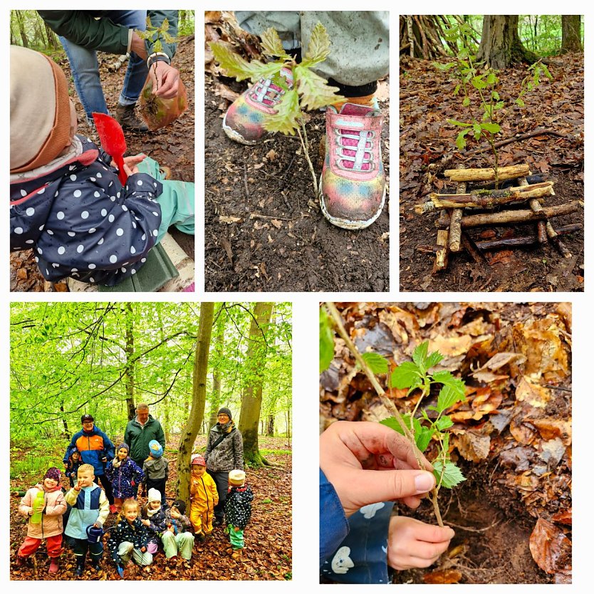 Projektwoche des Baumes bei der Kinderwelt am Frauenberg (Foto: Varinia Lorbeer)