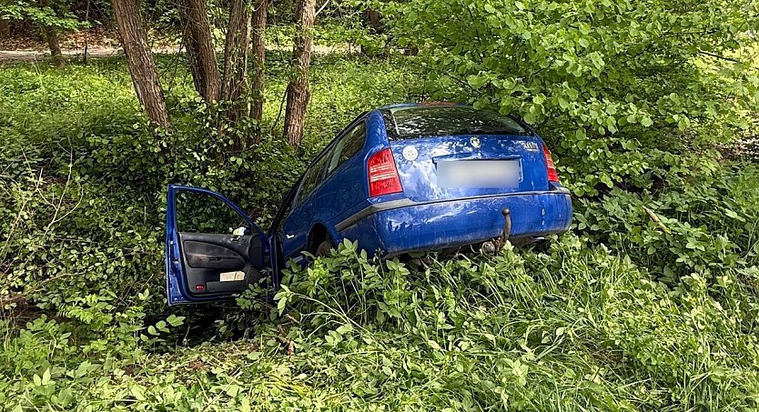 Flussfahrt gestern Nachmittag (Foto: S.Dietzel) Flussfahrt gestern Nachmittag (Foto: S.Dietzel)