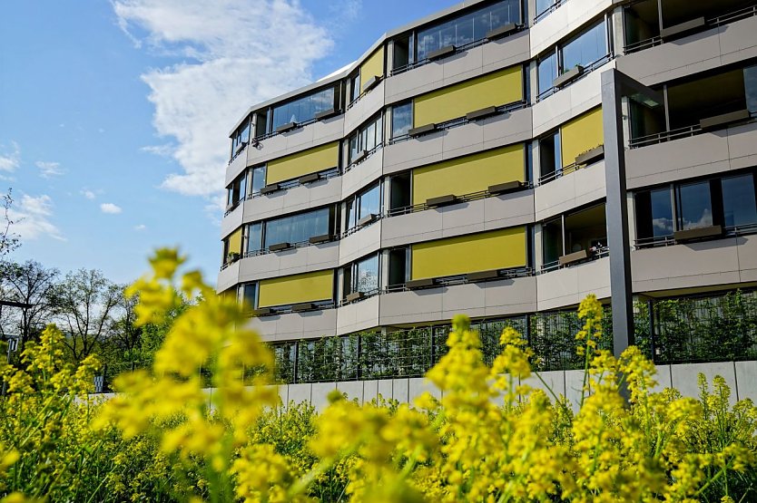  Das Ossietzky-Quartier, hier der Wohnblock Ludwig, wurde jetzt vom VTW Th&uuml;ringen mit einer Anerkennung ausgezeichnet (Foto: SWG Nordhausen/S. Schedwill)