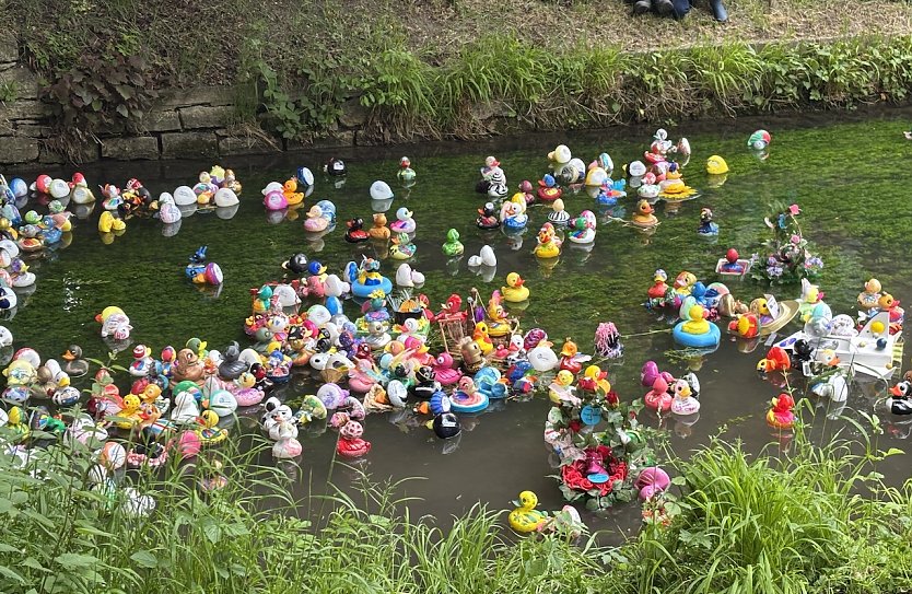 Entenrennen auf der Salza in Bad Langensalza (Foto: oas)