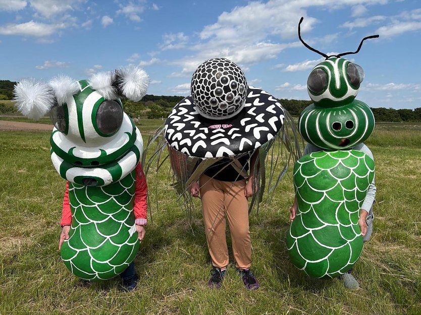 Kreativ gestaltete Insekten (Foto: Frankenhäuser festspiele) Kreativ gestaltete Insekten (Foto: Frankenhäuser festspiele)