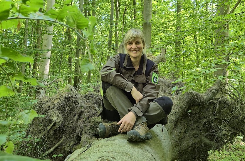 Seit 1. Mai leitet Jennifer Kruspe das Revier Ihlefeld im Nationalpark Hainich. (Foto: Cornelia Otto-Albers)