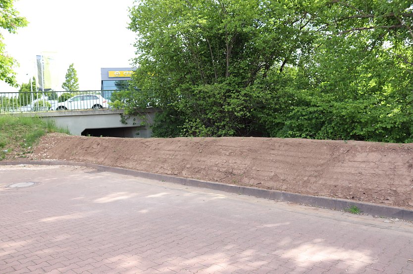 Sanierung B&ouml;schung am Ro&szlig;mannsbach (H&ouml;he Baumarkt)  (Foto: &copy;Stadtverwaltung Nordhausen )