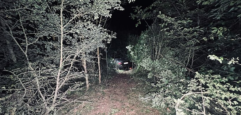 Auf Abwegen ging es bei Görsbach durch die Hecke (Foto: S. Dietzel) Auf Abwegen ging es bei Görsbach durch die Hecke (Foto: S. Dietzel)