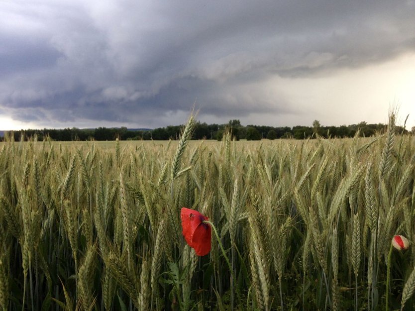 Wetterbild (Foto: agl) Wetterbild (Foto: agl)