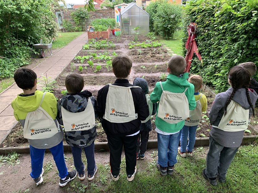 Der Schulgarten des F&ouml;rderzentrums Pestalozzi (Foto: F&ouml;rderzentrum  "Johann Heinrich Pestalozzi" Nordhausen)