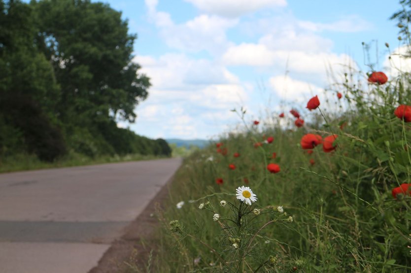 Wetterbild (Foto: agl) Wetterbild (Foto: agl)