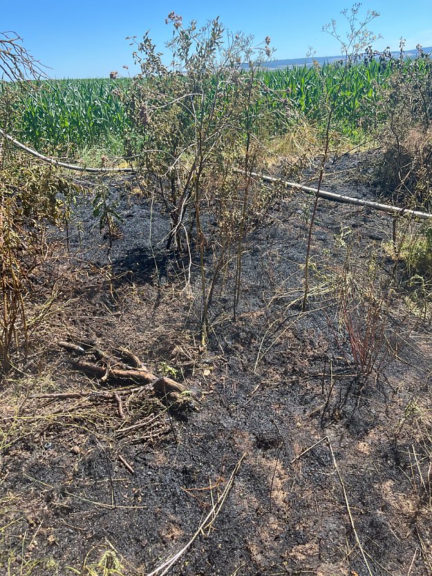 Flächenbrand im Kyffhäuserkreis (Foto: LPI) Flächenbrand im Kyffhäuserkreis (Foto: LPI)