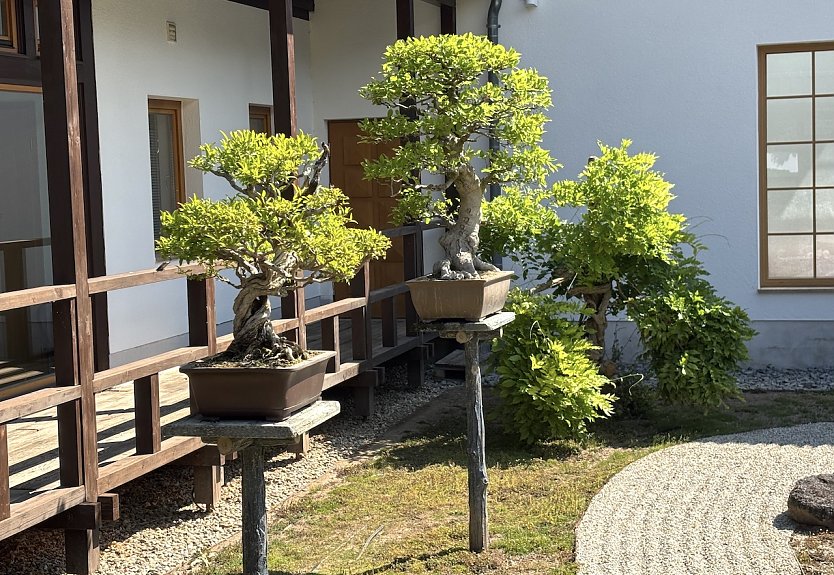 Nach der Hitze kommen Unwetter auf (Foto: oas)