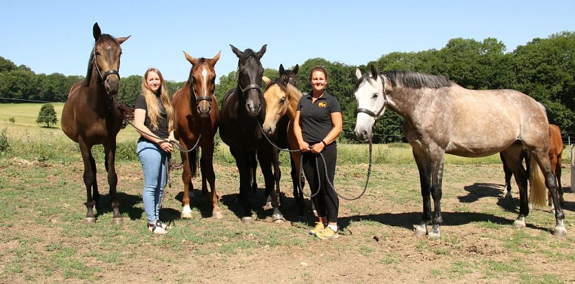 Auf dem Strau&szlig;berg bieten Julia und Franziska K&ouml;hler seit 8 Jahren pferdegest&uuml;tztes Coaching an (Foto: agl)