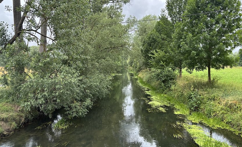 Unstrut bei N&auml;gelstedt (Foto: oas)