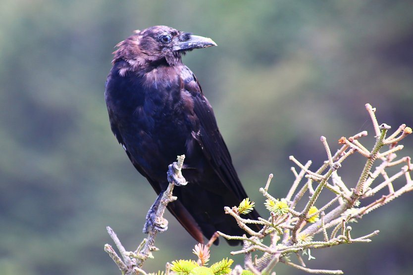 Fotografie trifft Poesie: Ausstellung in der Stadt-Werkstatt (Foto: © Christine Schrön) Fotografie trifft Poesie: Ausstellung in der Stadt-Werkstatt (Foto: © Christine Schrön)
