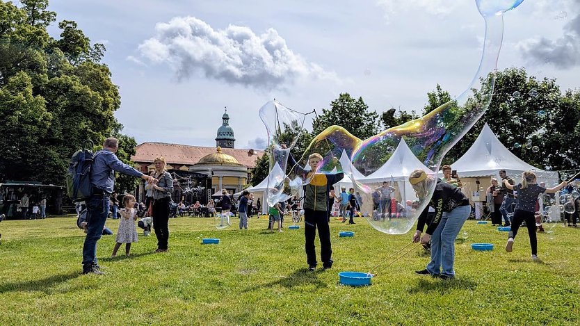 Auf der Theaterwiese wird es zum Kinder- und Jugendmusikfestival Viel zu entdecken geben. (Foto: Janine Skara)