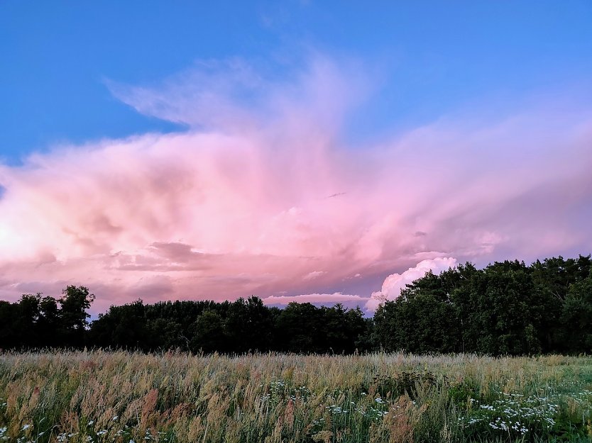 Abendspaziergang im Spreewald (Foto: Manuela Rieger)
