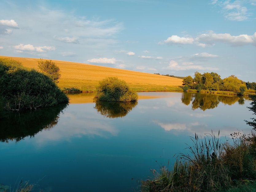 !. Fischteiche Helenenhof (Foto: Ramona Koch)