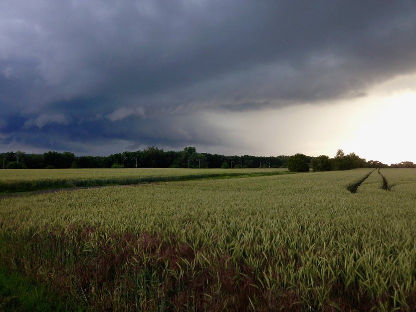 Wetterbild (Foto: nnz)