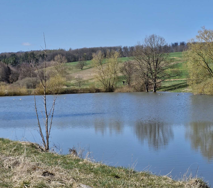 Helenenteiche bei Lipprechterode (Foto: Ramona Echtermeyer)