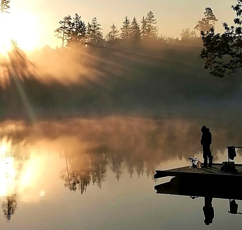 Am Birnbaumteich bei Harzgerode im S&uuml;dharz im Fr&uuml;hsommer  (Foto: Gabriele Bornemann)
