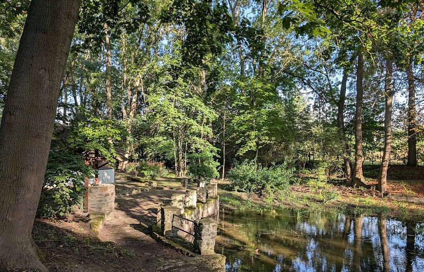 Sanierte Parkteiche in Thalebra (Foto: Janine Skara)