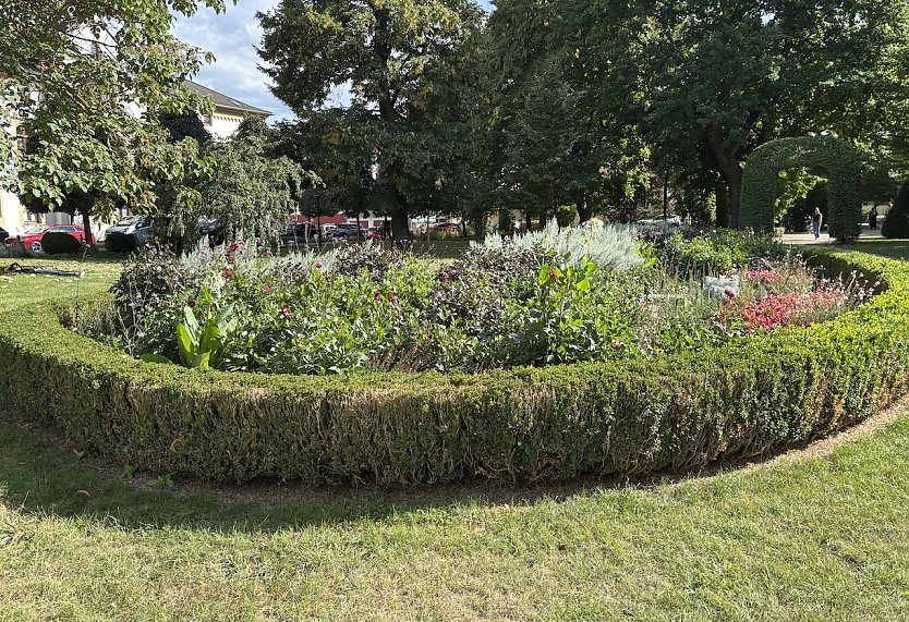 Sp&auml;tsommer im Kurpark (Foto: oas)
