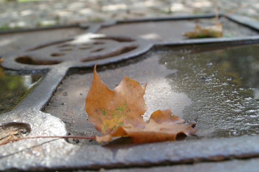 Wetterbild (Foto: agl)