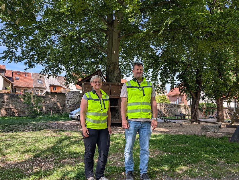 Die Baumkontrolleure der Stadtverwaltung Sondershausen haben den korrekten Schnitt der st&auml;dtischen B&auml;ume jederzeit im Blick und geben gerne Tipps. (Foto: Janine Skara)