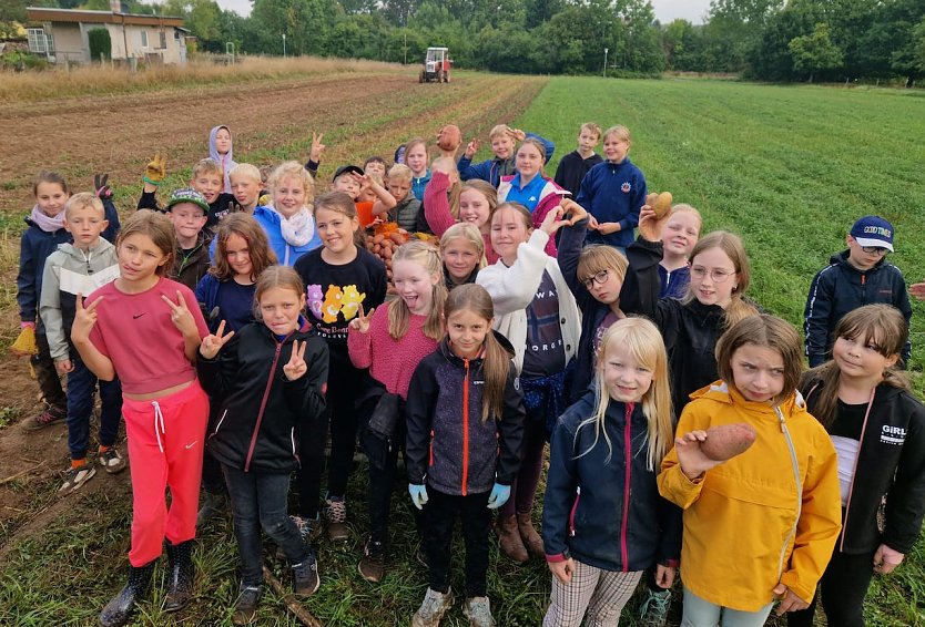 Grundsch&uuml;ler aus Werther bei der Kartoffelernte (Foto: GS Werther)