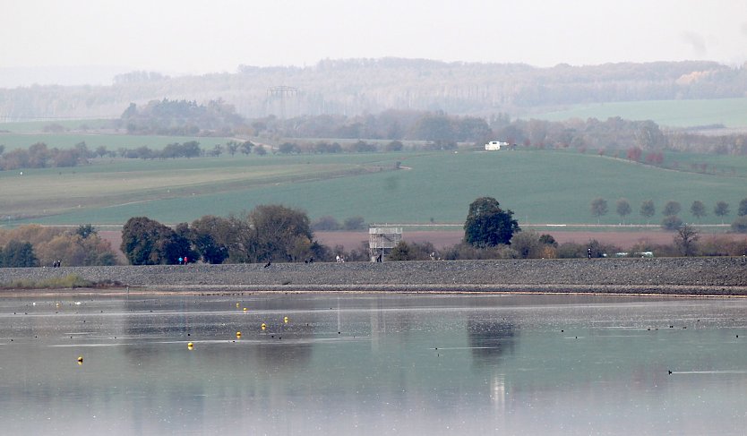 Gefl&uuml;gelpest am Stausee Kelbra festgestellt  (Foto: emw)