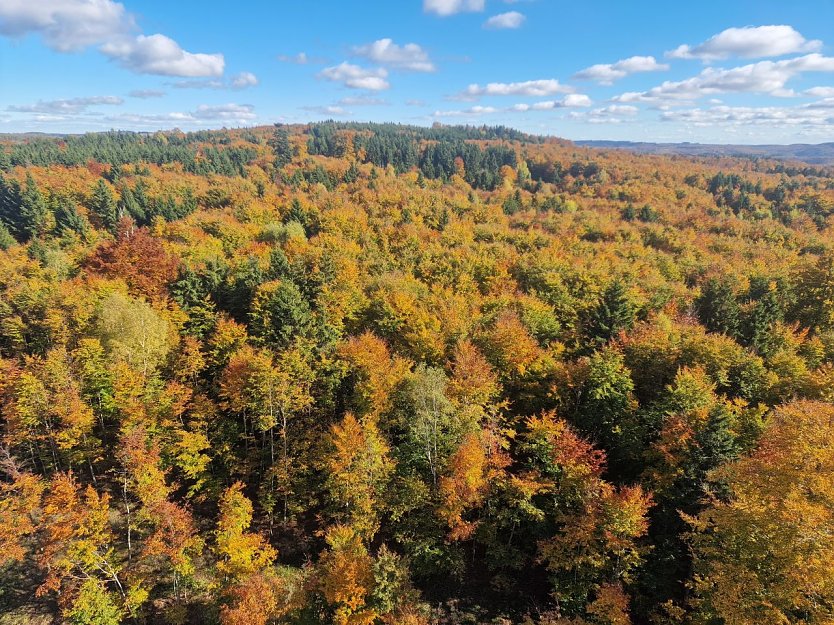 Wetterbild (Foto: agl)