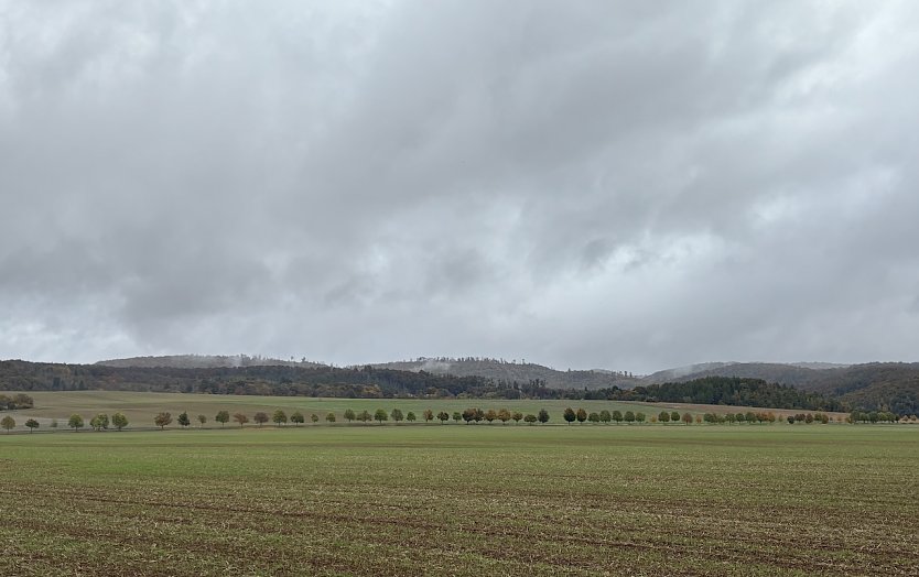 St&uuml;rmischen regnerisch. Hier bei Stempeda am Alten Stolberg (Foto: oas)