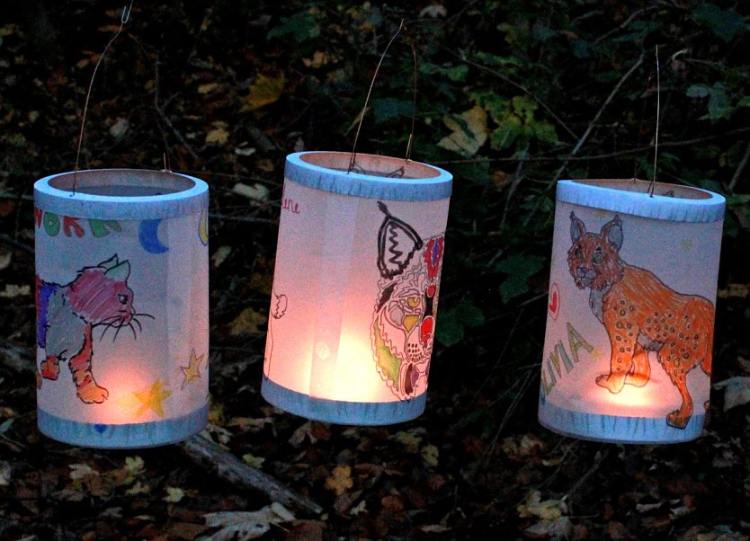 Laternen mit Tiermotiven (Foto: Wildtierland Hainich)