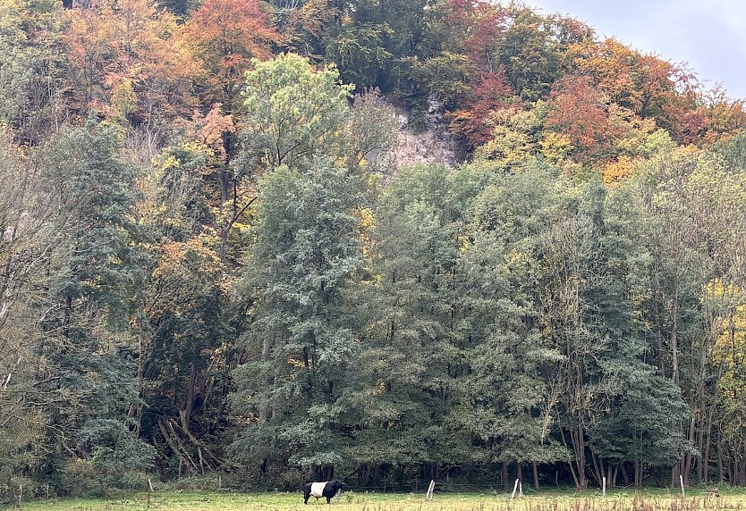 Herbstidyll am Alten Stolberg (Foto: oas)