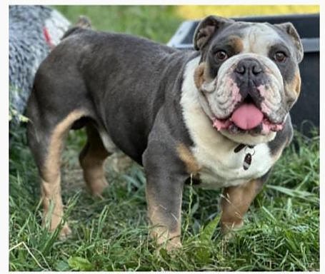 Wo ist G&uuml;nther? (Foto: LPI)