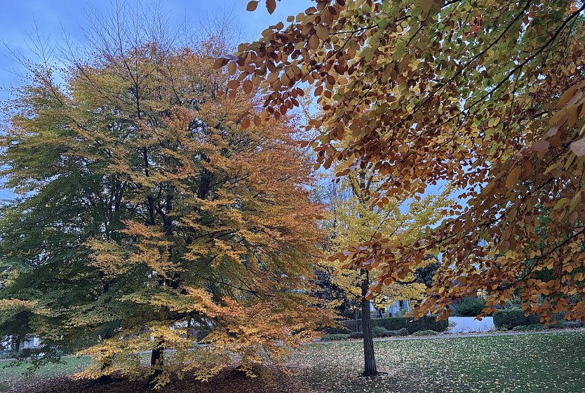Ruhiges Herbstwetter am heutigen Feiertag (Foto: oas) Ruhiges Herbstwetter am heutigen Feiertag (Foto: oas)