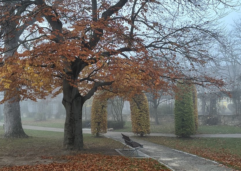 Herbst im Park (Foto: oas)