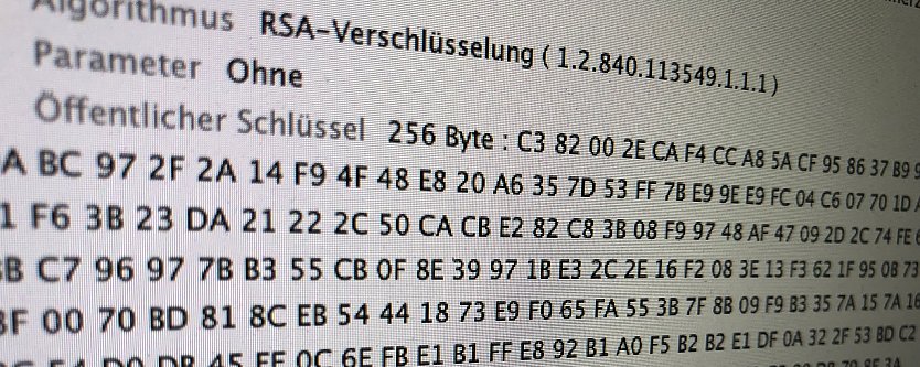 Quellcode (Foto: vgf)