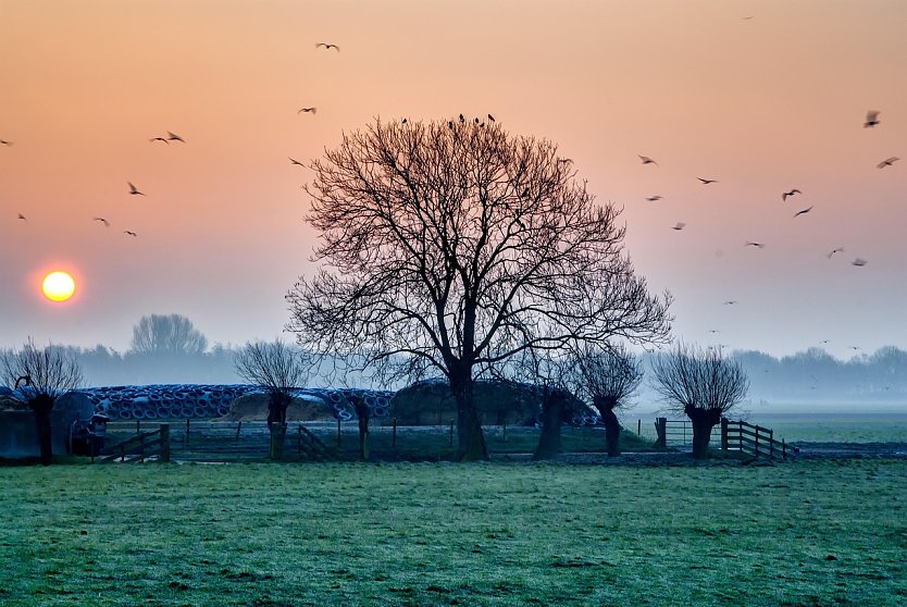 Wetterbild (Foto: pixabay.com)