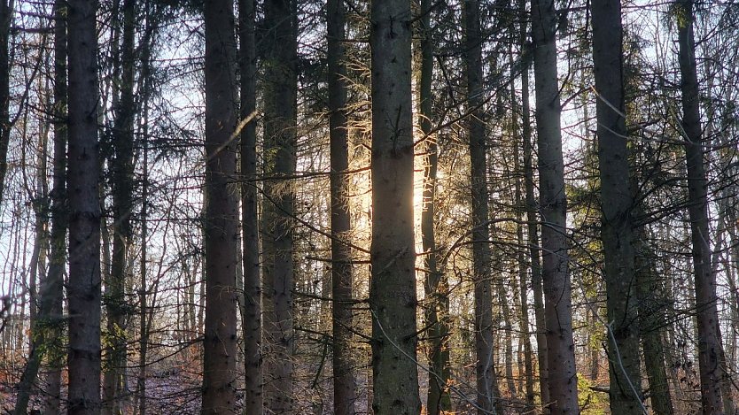 Wetterbild (Foto: agl) Wetterbild (Foto: agl)