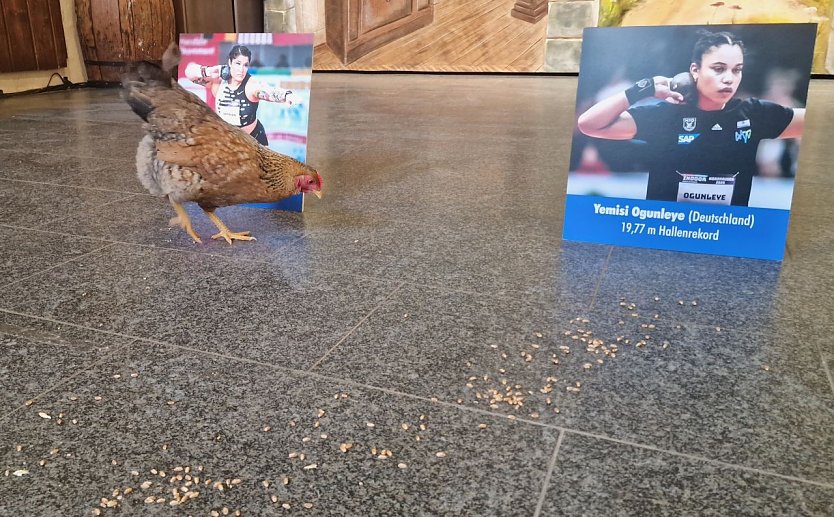 ...entschied sich dann aber eindeutig f&uuml;r Chase Jackson (Foto: agl)