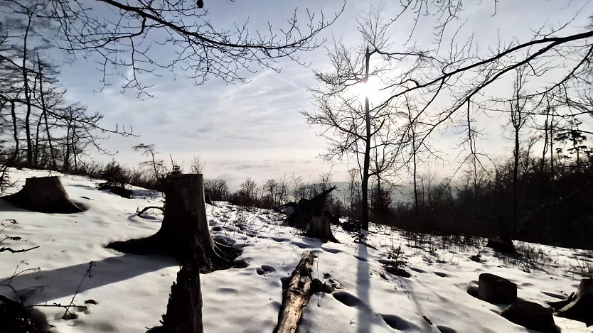 Frostiger Sonnentag am Roten Schuss bei Ellrich (Foto: agl)