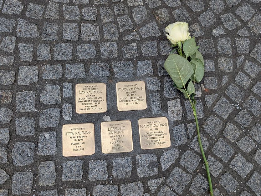 Die Stolpersteine sind nun wieder gut auf den Gehwegen sichtbar.  (Foto: Janine Skara)